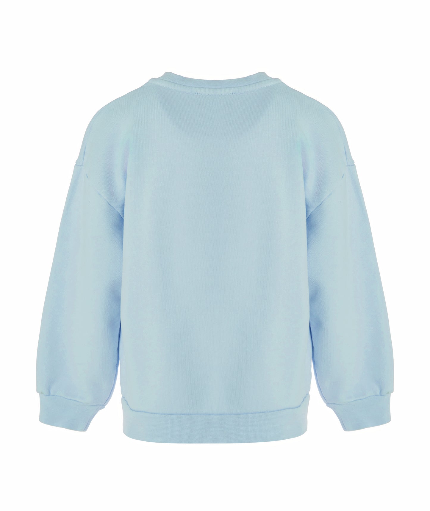 Baby Blue Cotton Boys Sweatshirt