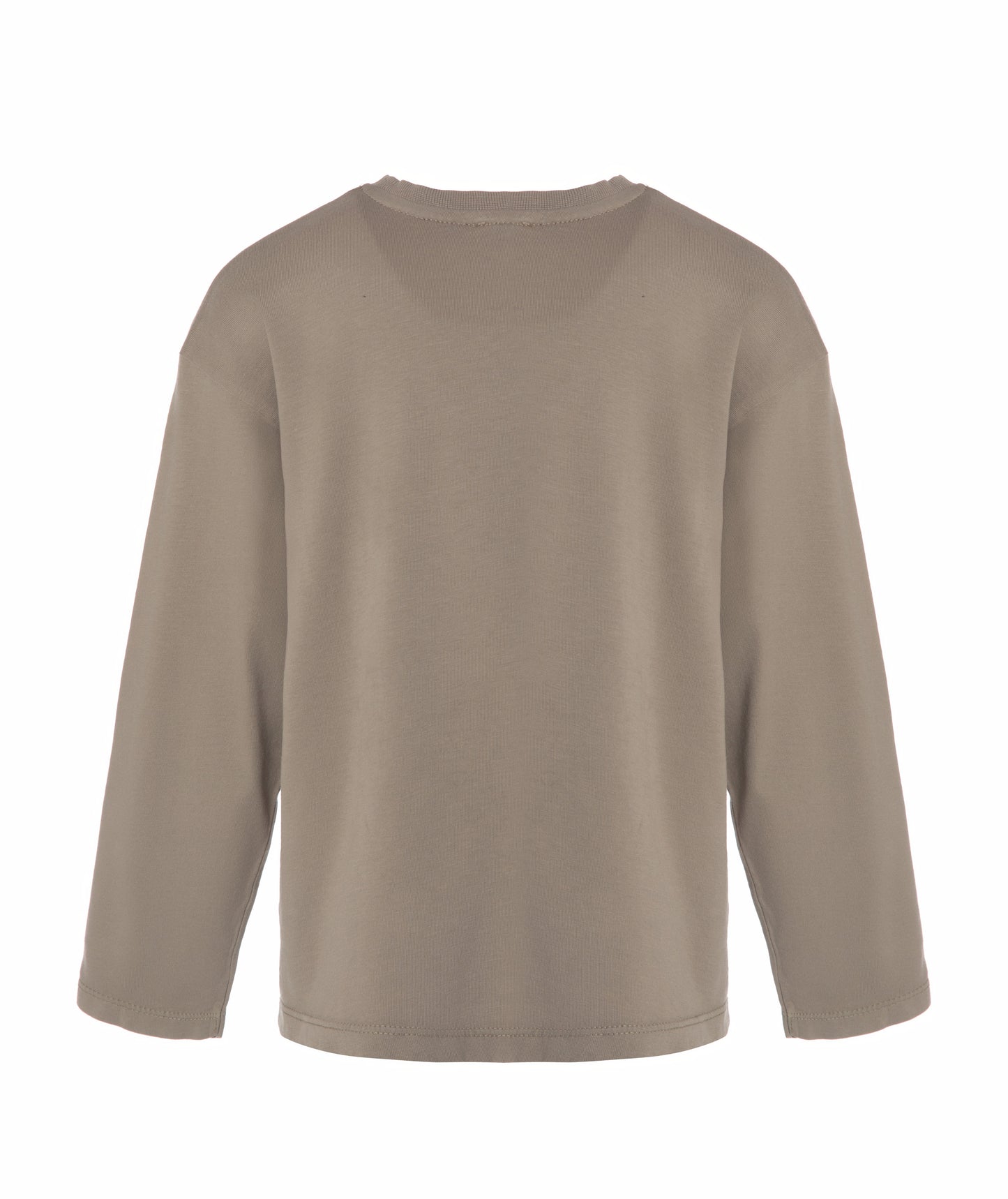 Back view of Goldencubs boys taupe cotton long sleeve T-shirt laid flat, showing clean and simple design.