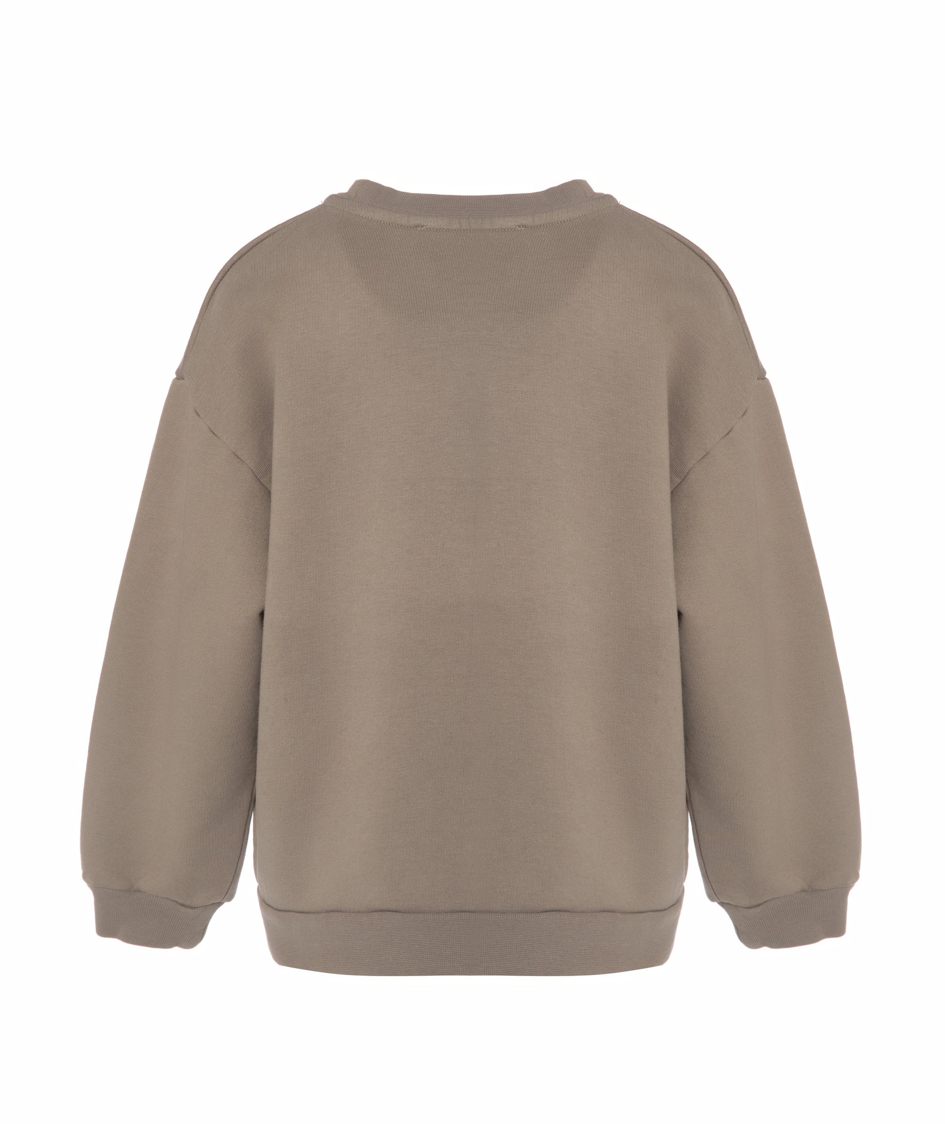 Back view of Goldencubs boys taupe cotton sweatshirt laid flat, showing clean and minimal design.