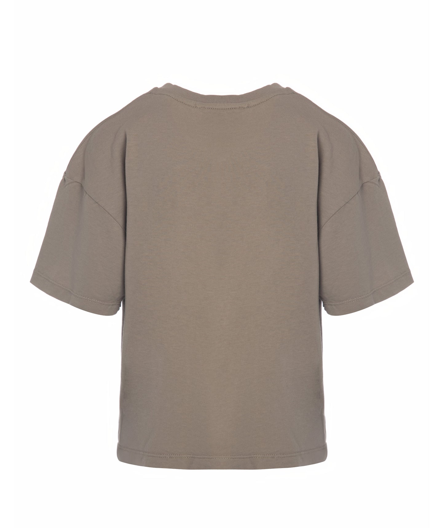 Back view of Goldencubs boys taupe cotton T-shirt laid flat on white background, featuring simple clean design.