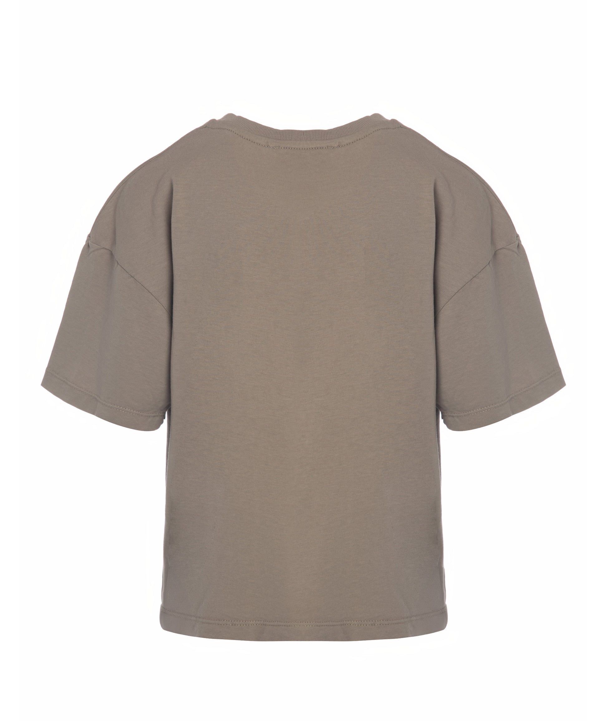 Back view of Goldencubs boys taupe cotton T-shirt laid flat on white background, featuring simple clean design.