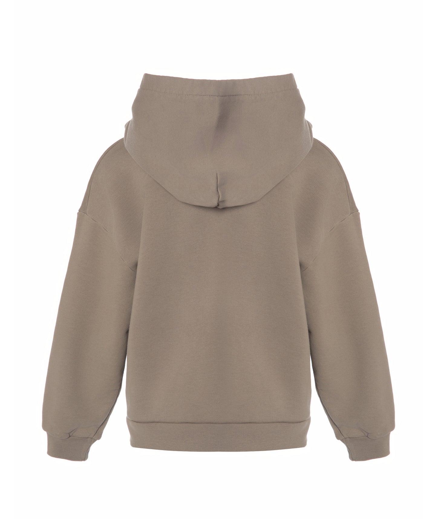 Back product image of Goldencubs plain taupe cotton boys hoodie — clean, modern look perfect for casual and sporty outfits.