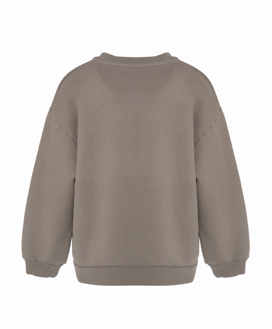Taupe Cotton Boys Sweatshirt