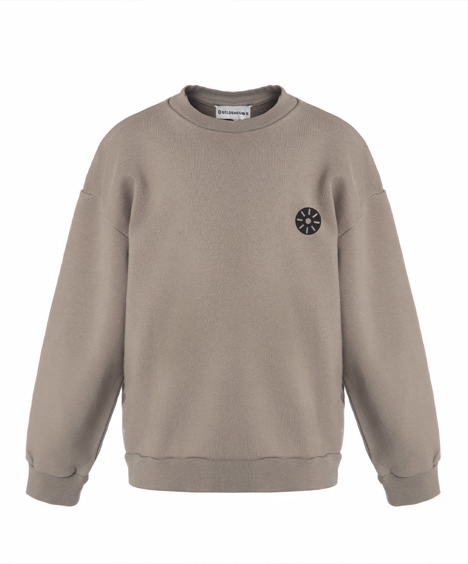 Taupe Cotton Boys Sweatshirt